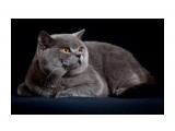 Название: 3
Фотоальбом: ICH Jack Blue Vernissage
Категория: Животные

Время съемки/редактирования: 2010:04:28 00:59:54
Фотокамера: Canon - Canon EOS 5D Mark II
Диафрагма: f/9.0
Выдержка: 1/200
Фокусное расстояние: 125/1
Светочуствительность: 100


Просмотров: 421
Комментариев: 0