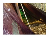 64

Просмотров: 505
Комментариев: 