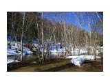 ***

Просмотров: 2623
Комментариев: 0