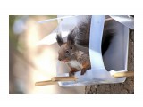 вам кого?!

Просмотров: 2783
Комментариев: 0