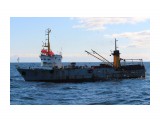 ЖОНКИЕР.  
Фотограф: 7388PetVladVik

Просмотров: 2313
Комментариев: 0
