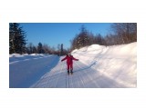 Лыжи сами бегут..
Фотограф: vikirin

Просмотров: 1670
Комментариев: 0