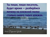 DSC04066
Фотограф: Инна Фидянина-Зубкова

Просмотров: 1690
Комментариев: 0