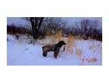 DSC09885

Просмотров: 838
Комментариев: 0