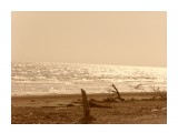 Название: осень 2013
Фотоальбом: Разное
Категория: Море
Фотограф: vnika

Время съемки/редактирования: 2007:08:12 14:28:53
Фотокамера: Samsung Techwin - 
Диафрагма: f/8.0
Выдержка: 1/750
Фокусное расстояние: 300/10



Просмотров: 5000
Комментариев: 0