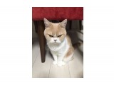 Название: Злой котяра.
Фотоальбом: Живности. Котейки
Категория: Животные

Просмотров: 1363
Комментариев: 0