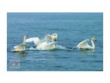 ***
Фотограф: Сергей Буркацкий

Просмотров: 1605
Комментариев: 0