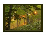 Название: _MG_7489
Фотоальбом: Сахалинские пейзажи
Категория: Пейзаж
Фотограф: Светличная Наталья

Просмотров: 1340
Комментариев: 0