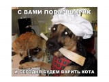 Название: Шеф-повар :))
Фотоальбом: Живности-2
Категория: Животные

Просмотров: 723
Комментариев: 0