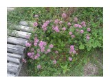 P7163024

Просмотров: 375
Комментариев: 1