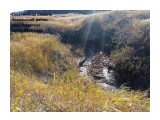 IMG_2018114807
В бассейне р. Амурская ведется добыча угля открытым способом

Просмотров: 2363
Комментариев: 0