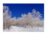 IIGP1152-пан-к

Просмотров: 588
Комментариев: 0
