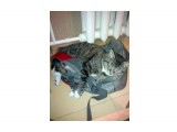 040320131114

Просмотров: 3352
Комментариев: 1