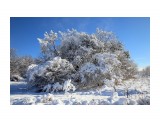 Зима
Фотограф: gadzila

Просмотров: 1556
Комментариев: 0