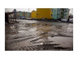 013
Фотограф: Sv_Nataliya

Просмотров: 799
Комментариев: 0