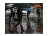 дождь 21 июля 2017
Фотограф: altazet

Просмотров: 2680
Комментариев: 0