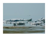 Восточный*лёд*

Просмотров: 3163
Комментариев: 0