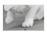 1

Просмотров: 3326
Комментариев: 0