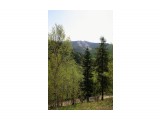 069-1

Просмотров: 490
Комментариев: 0