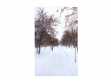 5
Фотограф: 11m

Просмотров: 304
Комментариев: 0