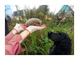 20140927_163220

Просмотров: 309
Комментариев: 0