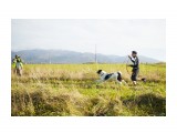 Шустрые лапы - 2014
Фотограф: фотохроник

Просмотров: 1569
Комментариев: 0