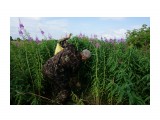 Сбор иван-чая
Фотограф: vikirin

Просмотров: 1712
Комментариев: 0