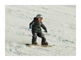 Little snowboarder