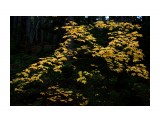 076-к

Просмотров: 434
Комментариев: 0