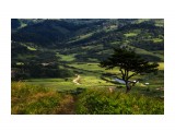 Название: ***
Фотоальбом: Шикотан
Категория: Пейзаж

Просмотров: 462
Комментариев: 0