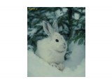 555

Просмотров: 1208
Комментариев: 