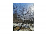 Название: IMG_20200417_170120
Фотоальбом: Сквер им. А. П. Чехова
Категория: Пейзаж
Фотограф: jocus

Время съемки/редактирования: 2020:04:17 17:01:24
Фотокамера: HUAWEI - YAL-L41
Диафрагма: f/1.4
Выдержка: 131000/1000000000
Фокусное расстояние: 4660/1000



Просмотров: 541
Комментариев: 0
