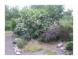 P7242441

Просмотров: 401
Комментариев: 0