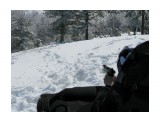sm-on-fire

Просмотров: 523
Комментариев: 0