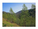 054-к

Просмотров: 352
Комментариев: 0