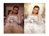 Название: Невеста и ее кошка
Фотоальбом: Коллажирование
Категория: Хобби

Время съемки/редактирования: 2011:09:22 13:14:16



Просмотров: 1589
Комментариев: 0