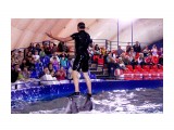 Они его из воды так легко .. как он держится?