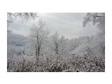 040-к

Просмотров: 551
Комментариев: 0