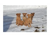 братья
Фотограф: NIK

Просмотров: 582
Комментариев: 0