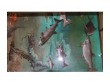 26
Фотограф: 11m

Просмотров: 604
Комментариев: 0