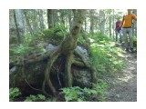 24062012665

Просмотров: 549
Комментариев: 
