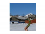 I will be back

Просмотров: 3701
Комментариев: 0