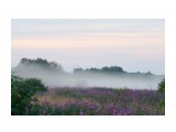 2016 08 09 туман на полях в Белом....
Фотограф: vikirin

Просмотров: 1836
Комментариев: 0