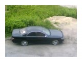 васек 208