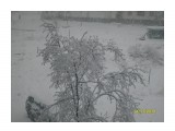Принакрылась снегом...
Фотограф: Maricha

Просмотров: 6663
Комментариев: 2