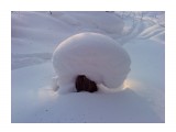 Снежный пенек
Фотограф: vikirin

Просмотров: 3937
Комментариев: 0