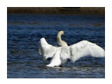 DSC00122_н

Просмотров: 510
Комментариев: 2