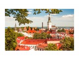 Вид на Таллин со смотровой площадки старого города
