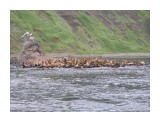 img0035

Просмотров: 436
Комментариев: 0
