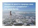 природасама

Просмотров: 2895
Комментариев: 